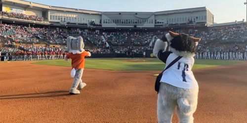 Prospect League Shatters Attendance Records 4 Jackson Baseball Stadium, Jackson Rockabillys
