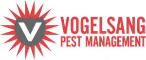 Vogelsang logo